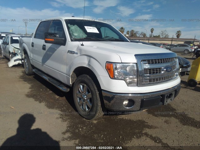 FORD F-150 2014 1ftfw1cf5efc95910