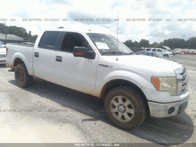 FORD F-150 2013 1ftfw1cf6dfb72261