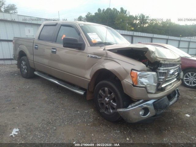 FORD F-150 2013 1ftfw1cf6dfc54328