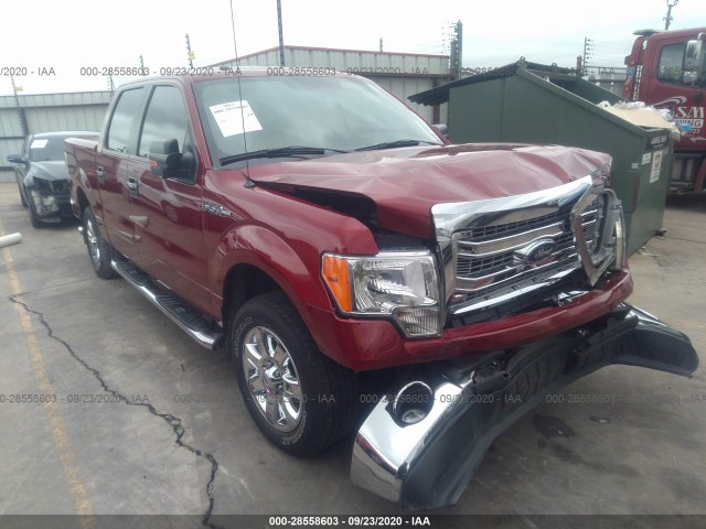 FORD F-150 2013 1ftfw1cf6dkf52286