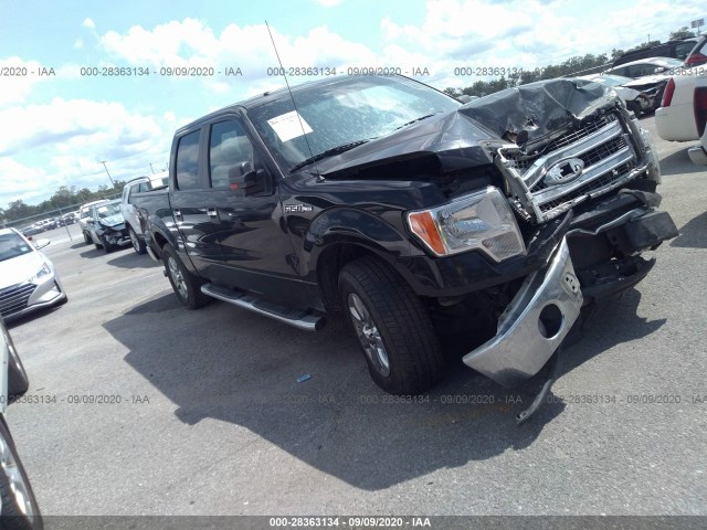 FORD F-150 2014 1ftfw1cf6eke06052