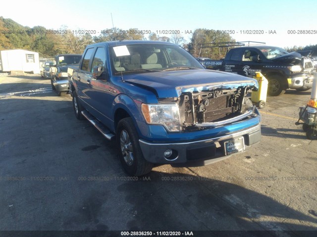 FORD F-150 2013 1ftfw1cf7dfb49071