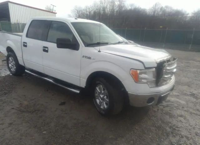 FORD F-150 2013 1ftfw1cf7dfb97668