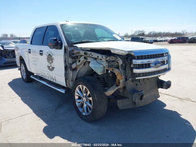 FORD F-150 2013 1ftfw1cf7dkd88823