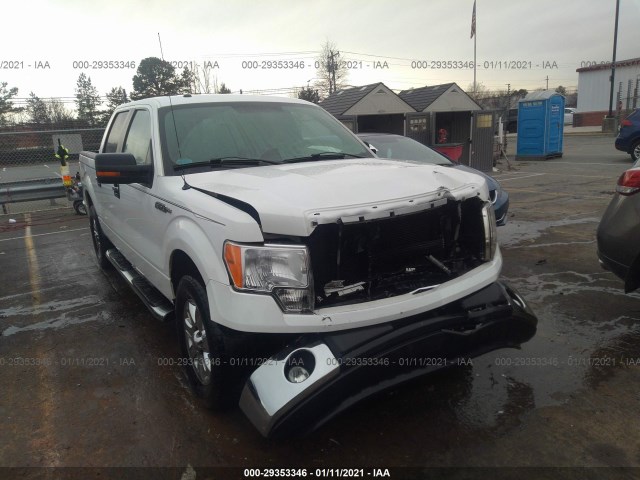 FORD F-150 2013 1ftfw1cf8dfb64033