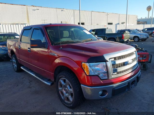 FORD F-150 2013 1ftfw1cf8dke49239