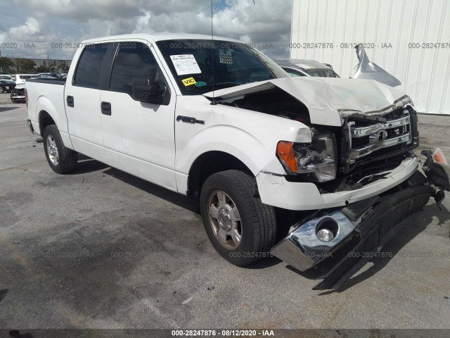 FORD F-150 2014 1ftfw1cf8efa70901