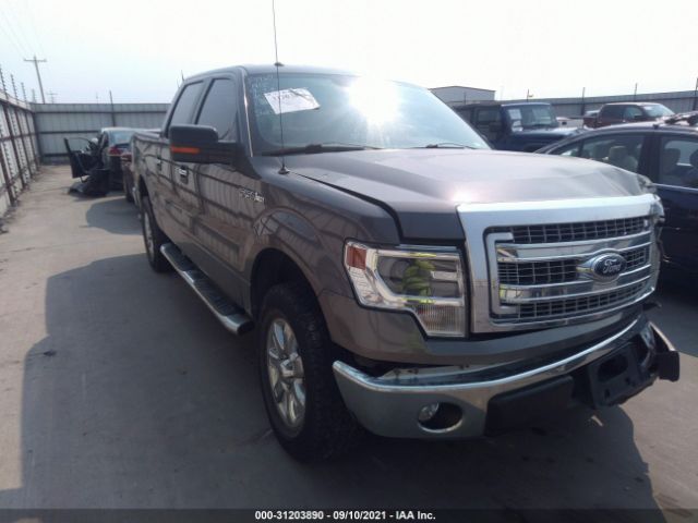 FORD F-150 2014 1ftfw1cf8ekd03683