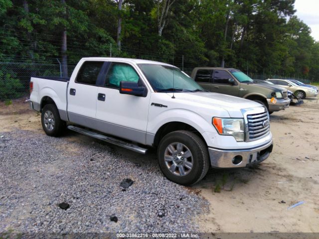 FORD F-150 2011 1ftfw1cf9bfc84453