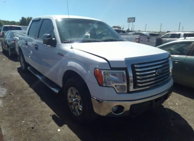 FORD F-150 2012 1ftfw1cf9cfa81046