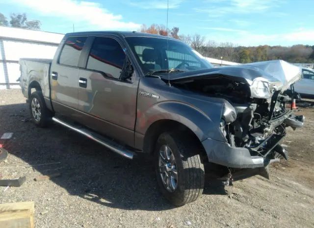 FORD F-150 2013 1ftfw1cf9dfc39192