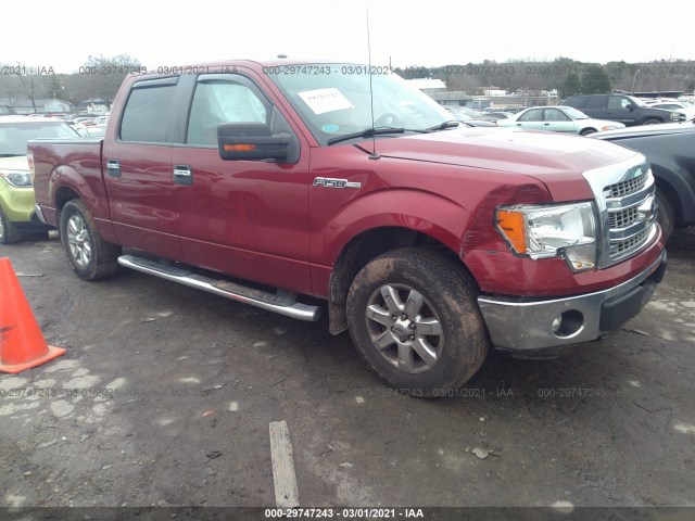 FORD F-150 2013 1ftfw1cf9dfc84956