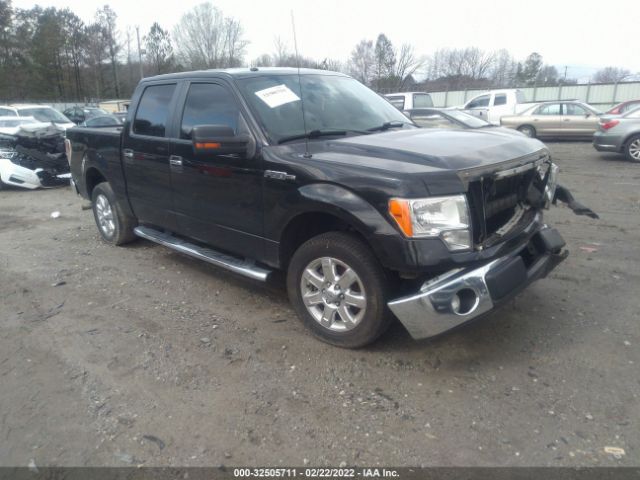 FORD F-150 2013 1ftfw1cf9dfd44928