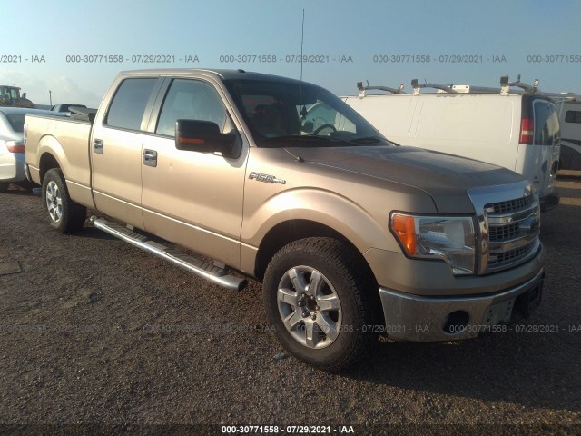 FORD F-150 2013 1ftfw1cf9dkf18908