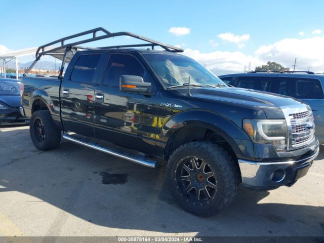 FORD F-150 2013 1ftfw1cf9dkf52170