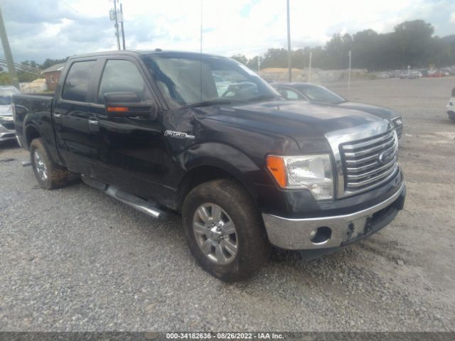 FORD F-150 2012 1ftfw1cfxcfa92279