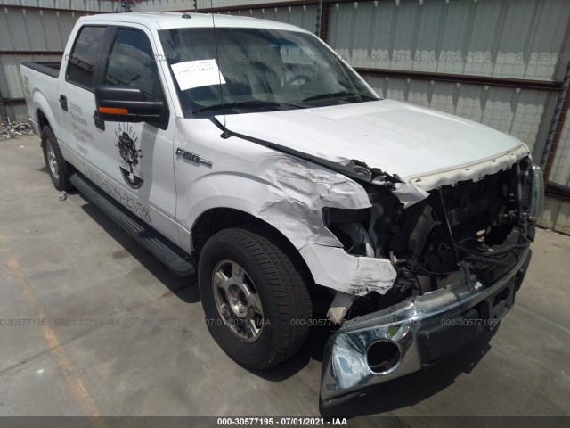 FORD F-150 2013 1ftfw1cfxdfc88742