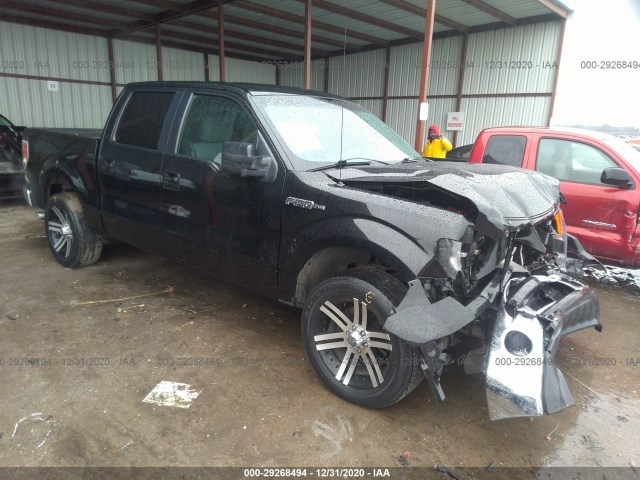 FORD F-150 2013 1ftfw1cfxdfd49507