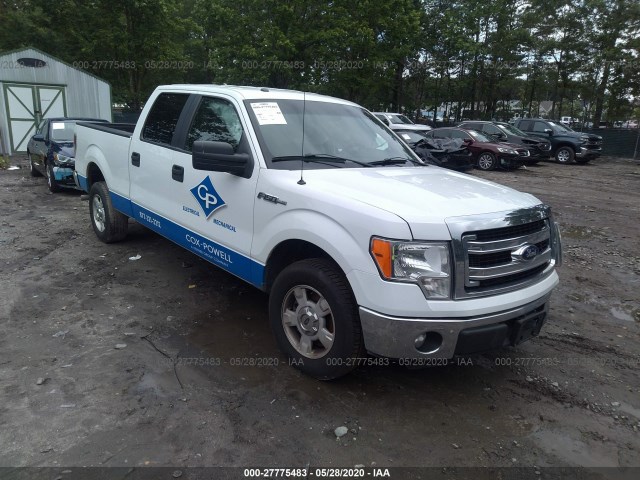 FORD F-150 2013 1ftfw1cfxdfd95502