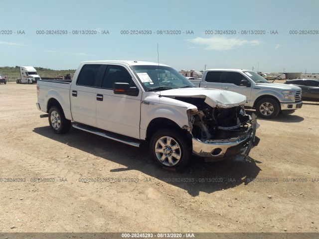 FORD F-150 2013 1ftfw1cfxdkd95023