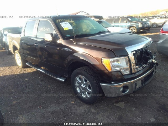 FORD F-150 2013 1ftfw1cfxdkf32574