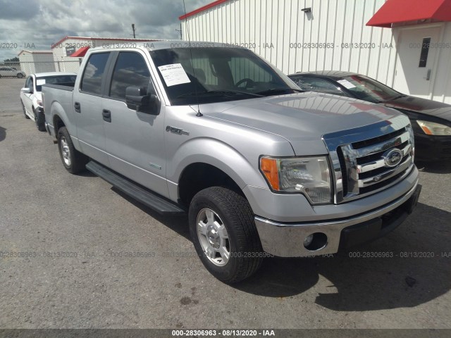 FORD F-150 2011 1ftfw1ct0bfb24631