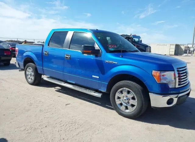 FORD F-150 2011 1ftfw1ct0bfb54504