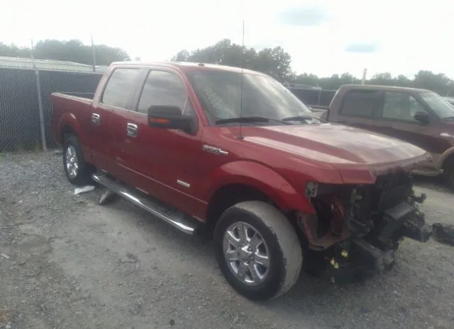 FORD F-150 2013 1ftfw1ct0dfa26170