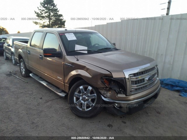 FORD F-150 2013 1ftfw1ct0dfd92839