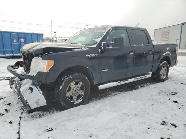 FORD F-150 2011 1ftfw1ct1bfd31755