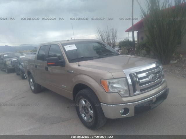 FORD F-150 2012 1ftfw1ct1cfb55565