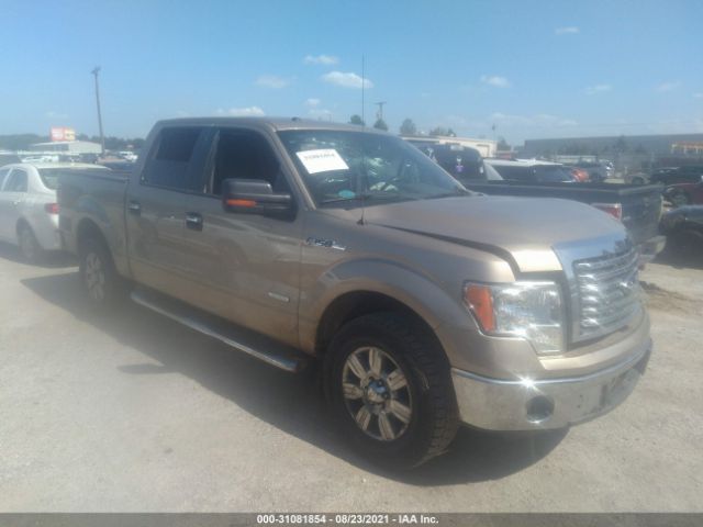 FORD F-150 2012 1ftfw1ct1cfc95843