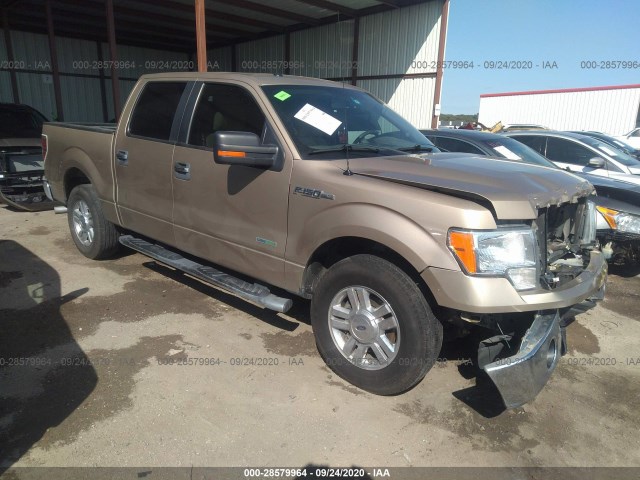 FORD F-150 2012 1ftfw1ct1ckd47625