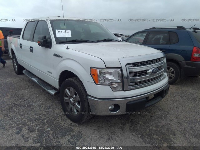 FORD F-150 2013 1ftfw1ct1dkf19170