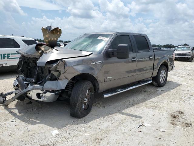 FORD F-150 2013 1ftfw1ct2dfa86807