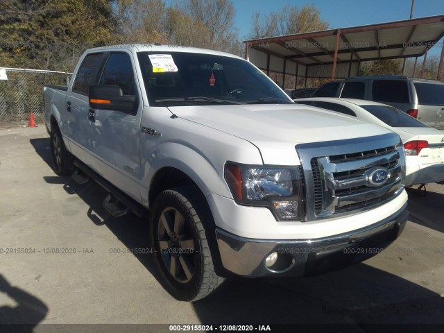 FORD F-150 2013 1ftfw1ct2dkg24753