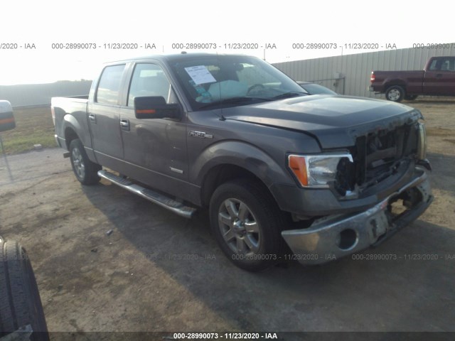 FORD F-150 2013 1ftfw1ct2dkg48552