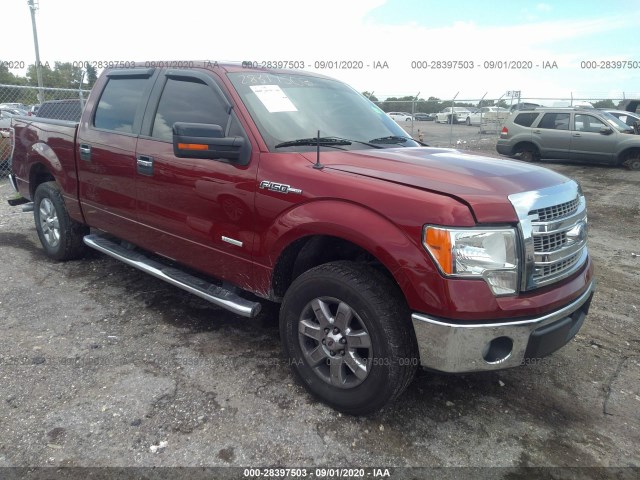 FORD F-150 2013 1ftfw1ct3dfd77249