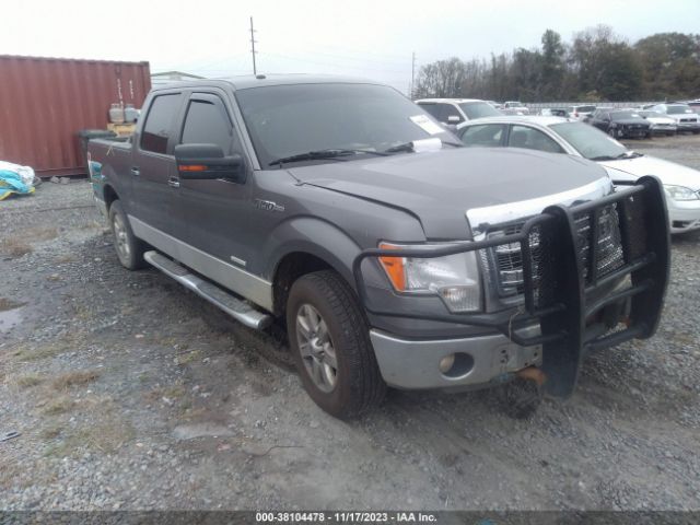 FORD F-150 2013 1ftfw1ct4dfc53670