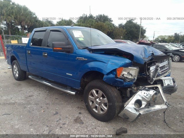 FORD F-150 2013 1ftfw1ct5dfb16611