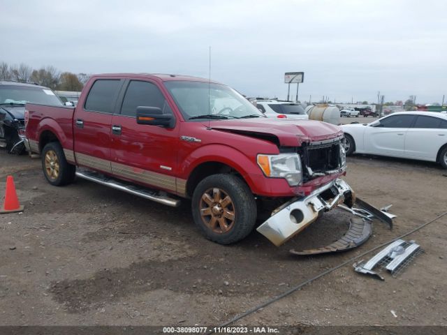 FORD F-150 2013 1ftfw1ct5dkd86705