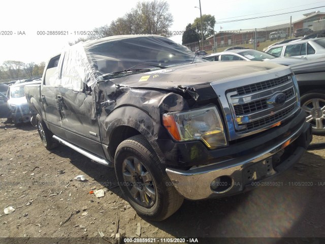 FORD F-150 2013 1ftfw1ct7dfa78007