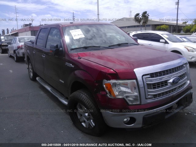 FORD F-150 2013 1ftfw1ct7dfa92960