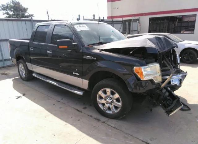 FORD F-150 2013 1ftfw1ct7dfb41039