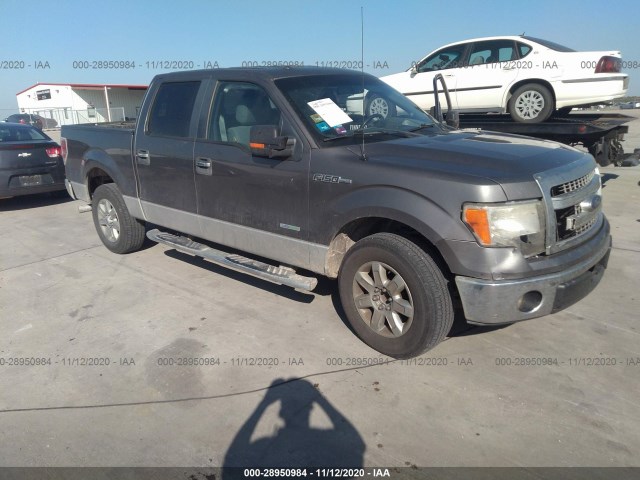 FORD F-150 2013 1ftfw1ct7dke44135