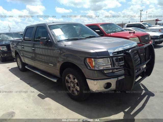 FORD F-150 2013 1ftfw1ct7dkf84508