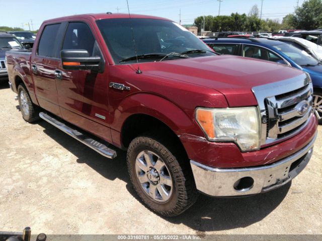 FORD F-150 2013 1ftfw1ct8dke02251