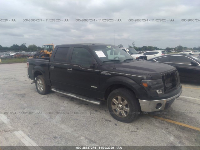 FORD F-150 2013 1ftfw1ct8dkf55146