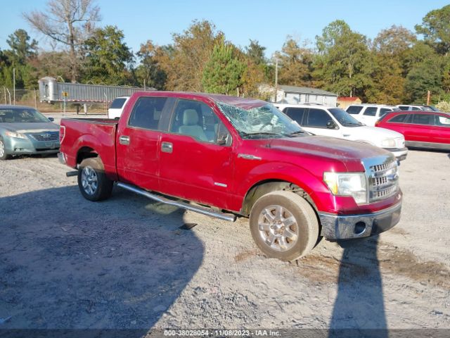 FORD F-150 2013 1ftfw1ct8dkg38477