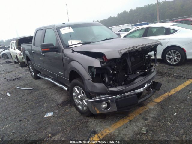 FORD F-150 2013 1ftfw1ct9dfa98615